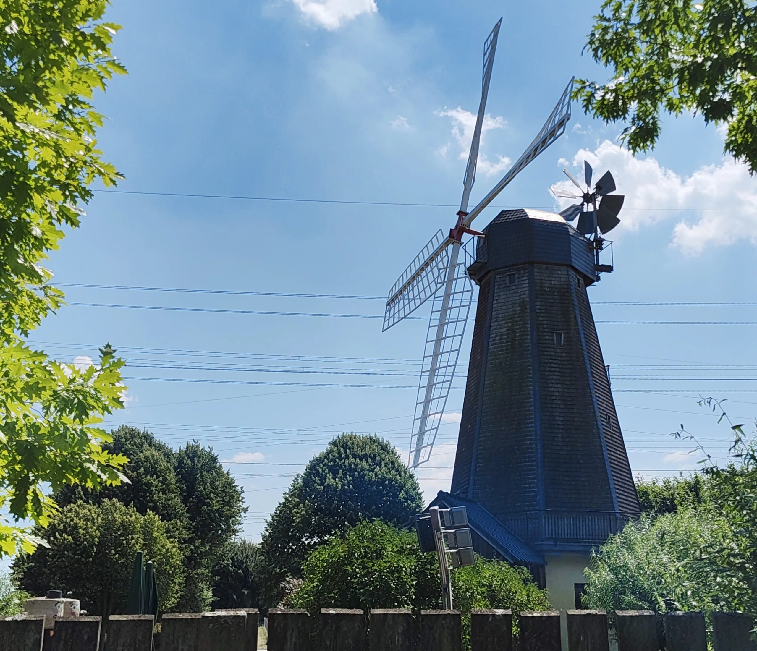 BSW-Mitglieder im Gespräch